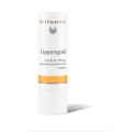 DR.HAUSCHKA Lippengold